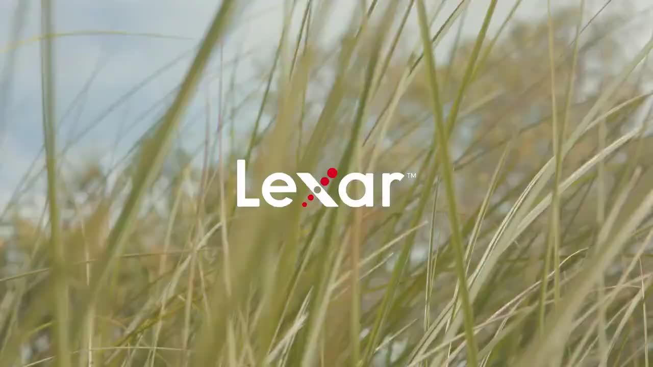 Lexar Micro sd 633x 32GB / 64GB / 128GB / 256GB High Performance Up to 100MB/s