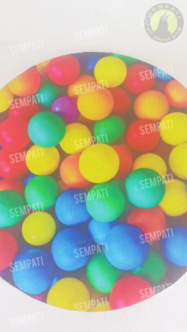 SEMPATI KARPET SANGKAR MURAI NO 2 3D MOTIF BOLA ALAS DASAR KANDANG BURUNG KRBMR2