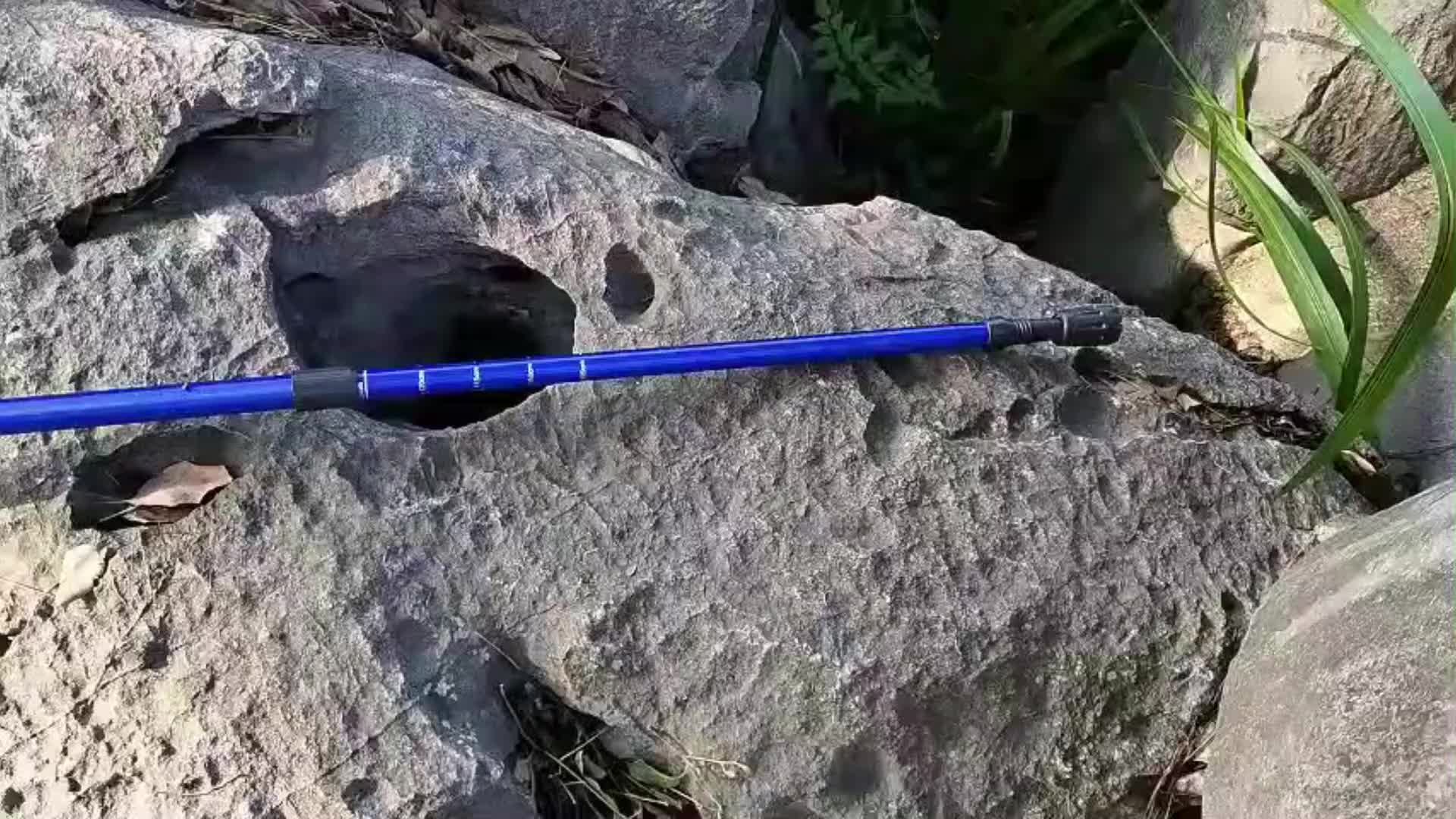 Columbia Trekking Pole SUPER KUAT Bahan Jet Tempur 7075 - Anti Getar Pro, Grip Nyaman Kayak Pegang Gebetan! Multi Fungsi 65-135cm Buat Pendakian Bromo/Rinjani/Kalimantan - Tahan 8 Tahun, COD & Terlaris 5000+ Adventure Squad! Camping Outdoor