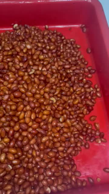 Sambel Pecel 1 Kg / Sambel kacang khas Nganjuk