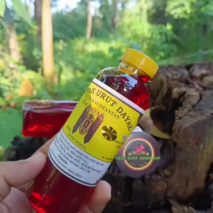 Minyak Urut Gosok Pijat Dayak  Cap Perisai Asli Ngaju 250 ml