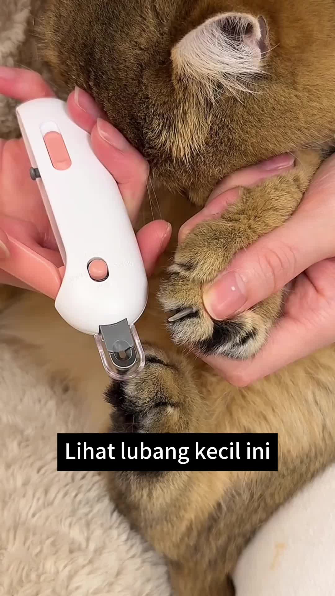 [COD]Circular Cut Hole Cat Nail Clippers Pet Nail Clippers for dogs,cats,pet nail cutter StainlessDog Nail Grinder Pet Nail Clipper Dog Trimmer For Grooming Pet Electric Nail Grinder Painless Trim