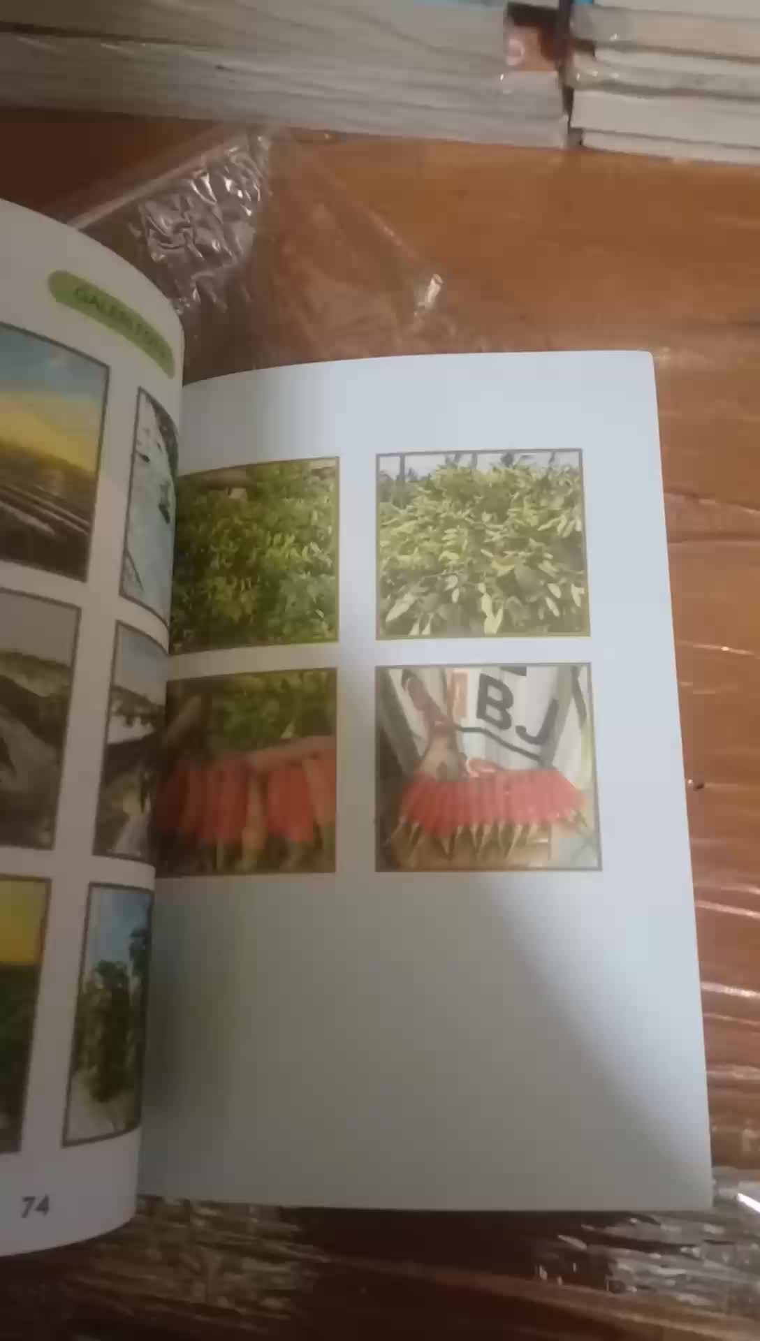 buku sakti cabai segala jenis varietas fuul collor,  series 3, karangan, Daniel MBJ.