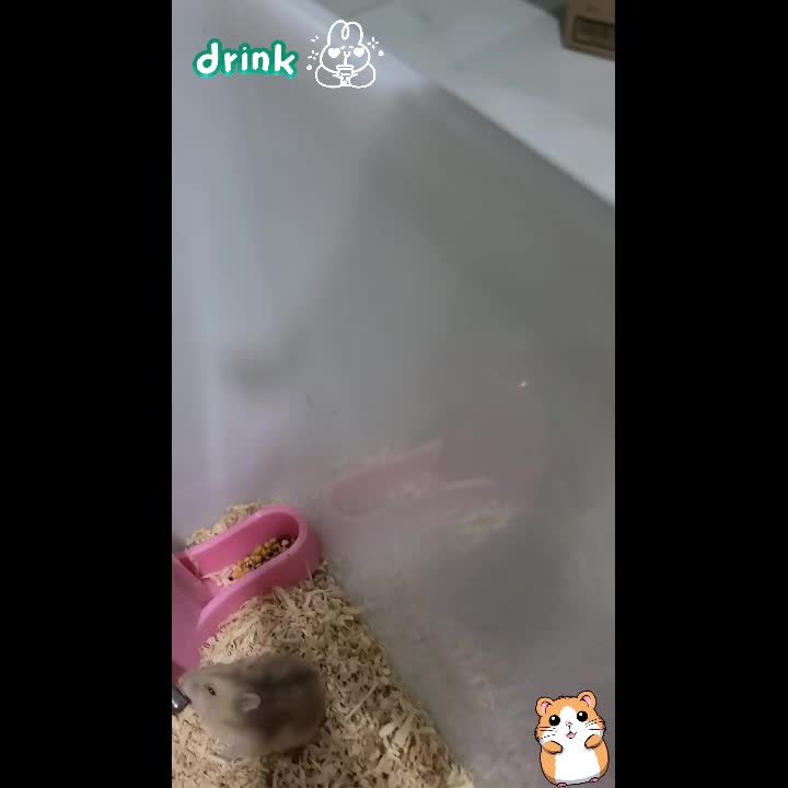 Bottle Stand Multifungsi Tempat Minum dan Makan Hamster