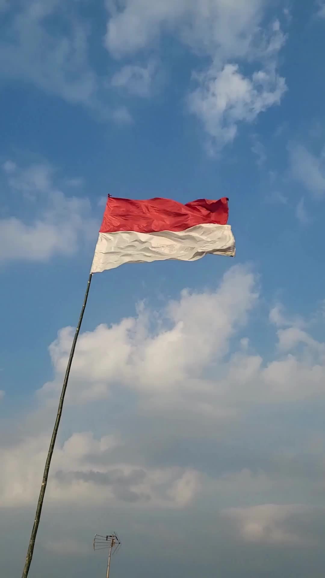 ENSAMILK Promo Susu Kambing Bubuk Etawa Plus Madu - Atasi Masalah Sendi dan Pernafasan