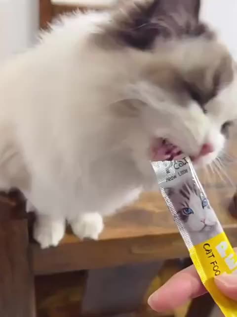 MEOW PET Camilan Kucing Snack Kucing Kitten Adult 15gr Cat Strips Creamy / Cat Strip Snack Kucing Peien Liebao Queen Nutrisi Tinggi