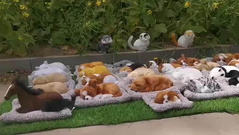 [gaode] Boneka Simulasi Kucing Arang Bambu Kucing Pajangan Dashboard Mobil Boneka Kucing Bersuara Bambu kucing Penghilang Bau Ruangan  Pajangan Dashboard Mobil Unik Aksesoris Car Dasbor Karbon