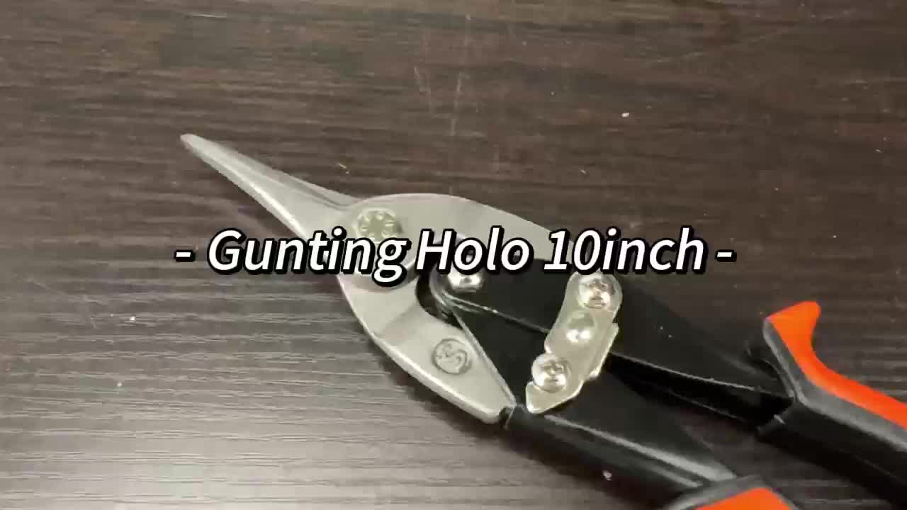 JLD Gunting Holo Baja Ringan 10inch Hollow Seng Serbaguna Aviation Snip Viation Scissors lurus Gunting Penerbangan Karton 10 INCH Kualitas Industri Ergonomis Ideal untuk Memotong Logam Tembaga Aluminium Plastik Karton Tebal Kawat Ayam Kain Perangkat Keras