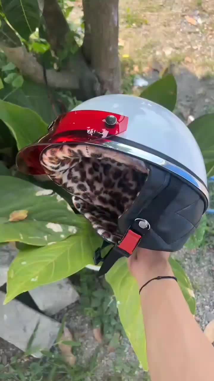 Helm Chips retro classic busa Leopard. Motorcycle.