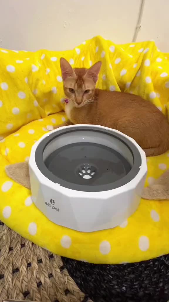 ONLY PETS Tempat Minum Anjing Kucing Pet Bowl Anti Debu Berkualitas