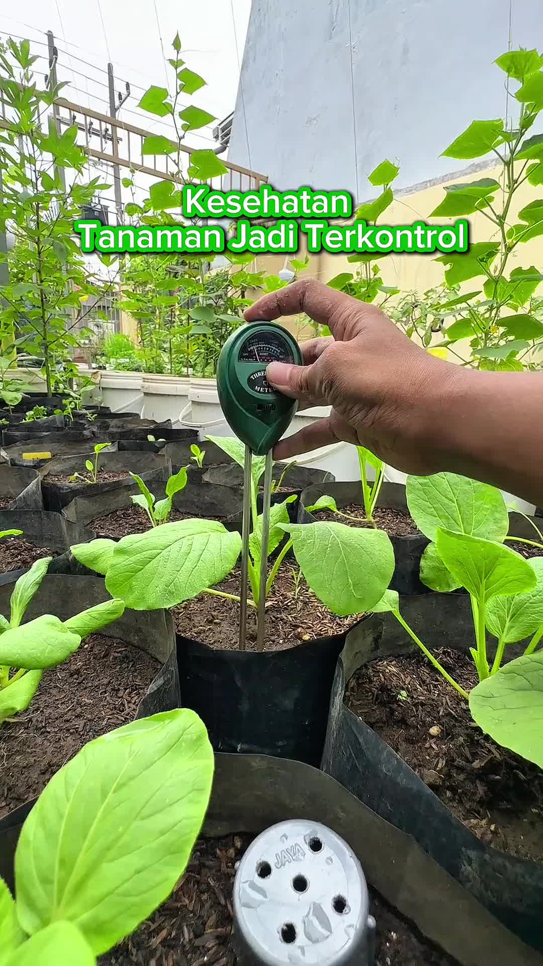 INFARM - Soil Meter Pengukur Kelembaban Tanah Dan Cahaya  alat  digital Pengukur Kelembapan Alat Ukur Tanah Soil Meter Digital 3 in 1, Pengukur Kelembaban Tanah, pH, dan Cahaya, Tester Media Tanam untuk Bunga Sayur Buah Greenhouse Hidroponik Mudah Dipakai