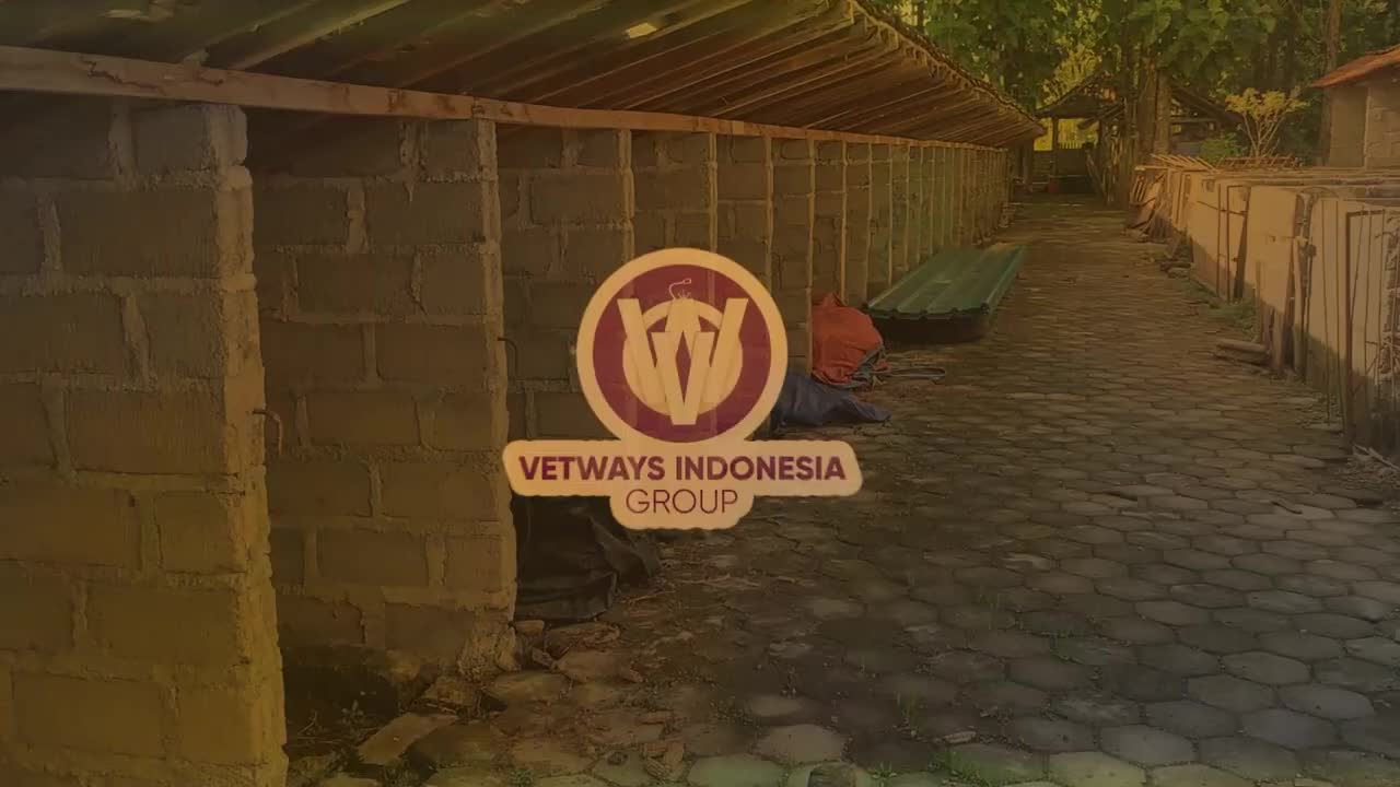 Vetways Premix - Mineral Sapi - Mineral Kambing - Premix Sapi Jakarta