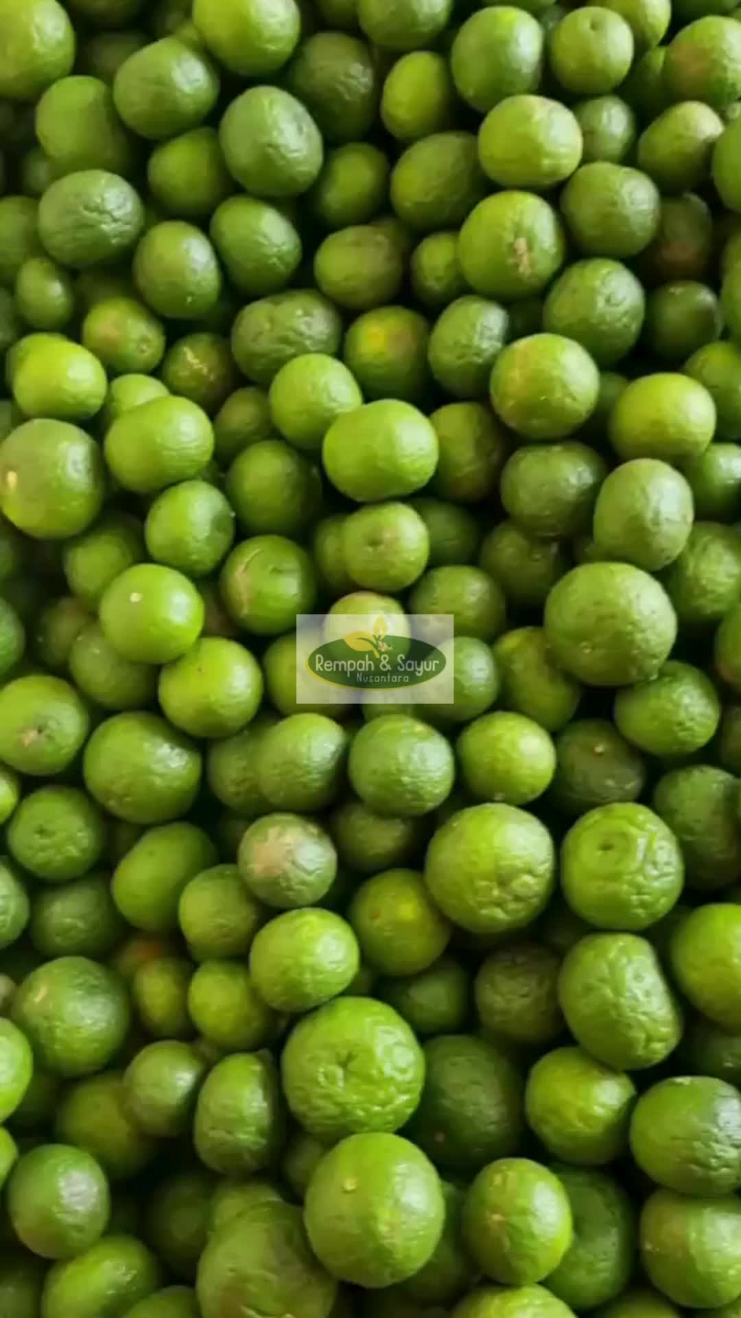 Jeruk Limau Limo Fresh Langsung Dari Kebun - Jeruk Sambal
