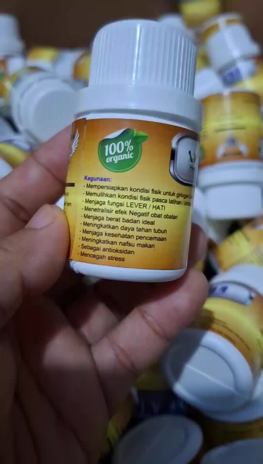 Jamu Ideal Baron Merpati Player Masa Istirahat dan Mengeram