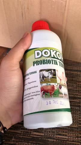 Dokoh Penambah Nafsu Makan Hewan Ternak Dokoh Sapi Kambing Meningkatkan Nafsu Makan Hewan Ayam Nutrisi Pakan Bebek Cepat Gemuk