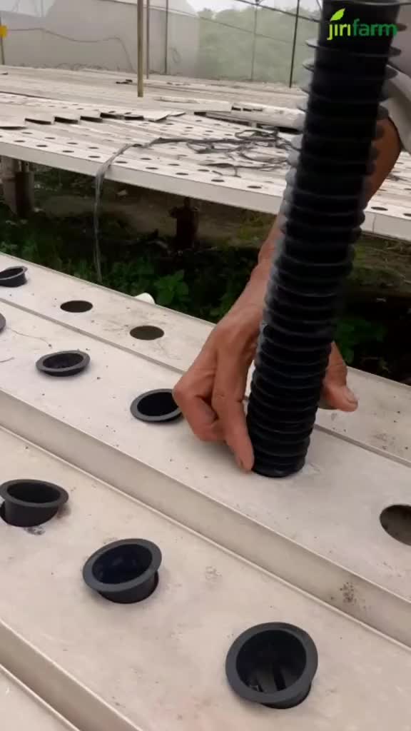 Jirifarm Net Pot Hidroponik dan Umum - Hitam/ Putih