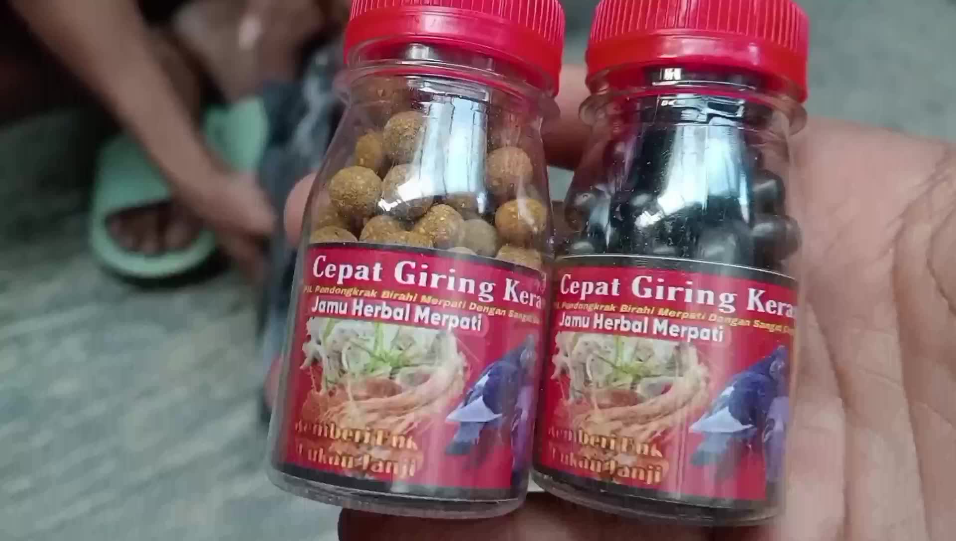 JAMU MERPATI CEPAT GIRING KERAS ISI 100 BUTIR obat cepat giring dalam 2 hari jamu ginseng teki rjb xes4 rjb pil edan alus