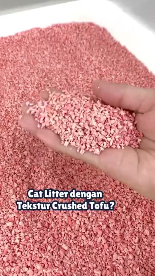 Bundling Kaizoo Japanese Premium Crushed Tofu Soya Cat Litter Pasir Tofu Kucing Gumpal 7L Paket Kardus Carton